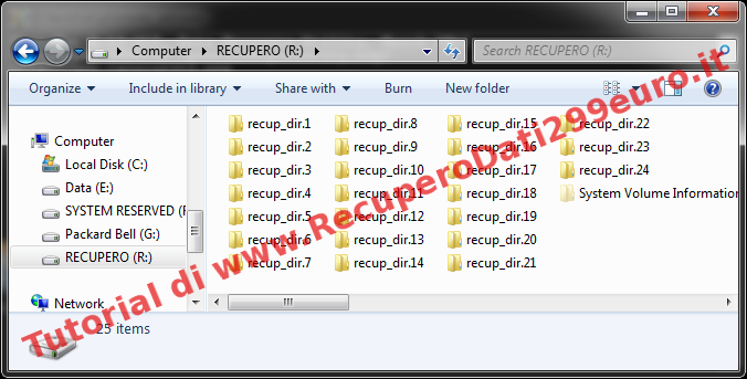 Recupero Dati Hard Disk: Estrazione Files